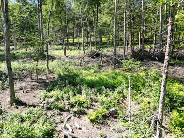 Land for sale in Newfane, Vermont