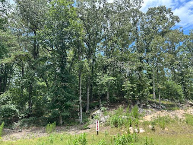 Land for sale in Georgia