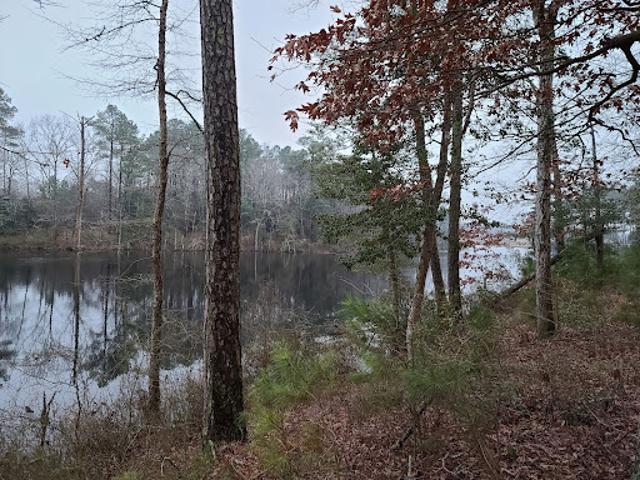 Land for sale in New Church, Virginia