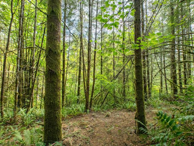 Land for sale in Thurston, Washington