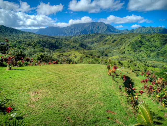Land for sale in Kilauea, Hawaii