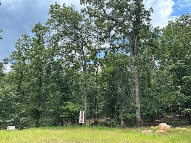Land for sale in Georgia