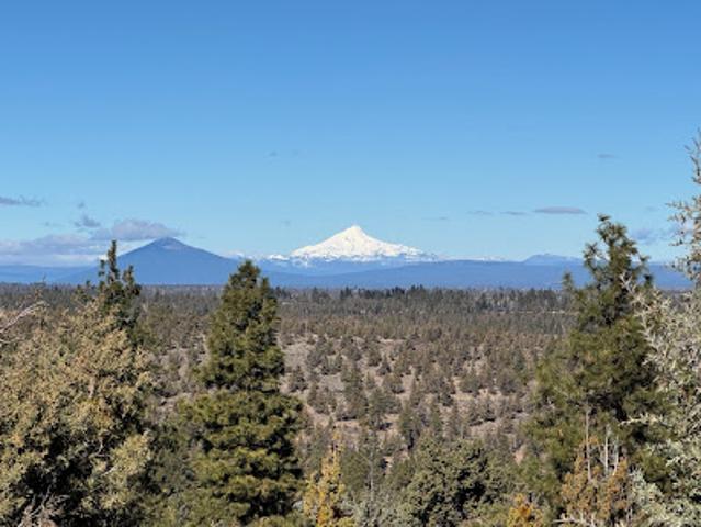 Land for sale in Oregonia