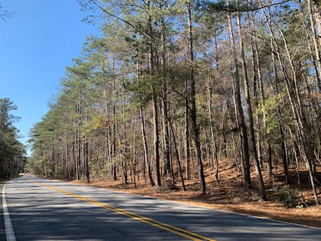 Land for sale in Georgia