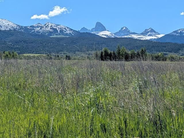 Land for sale in Driggs, Idaho
