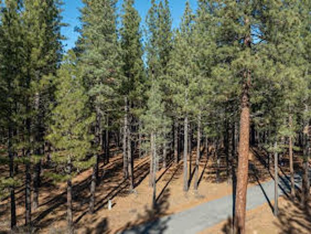 Land for sale in Portola