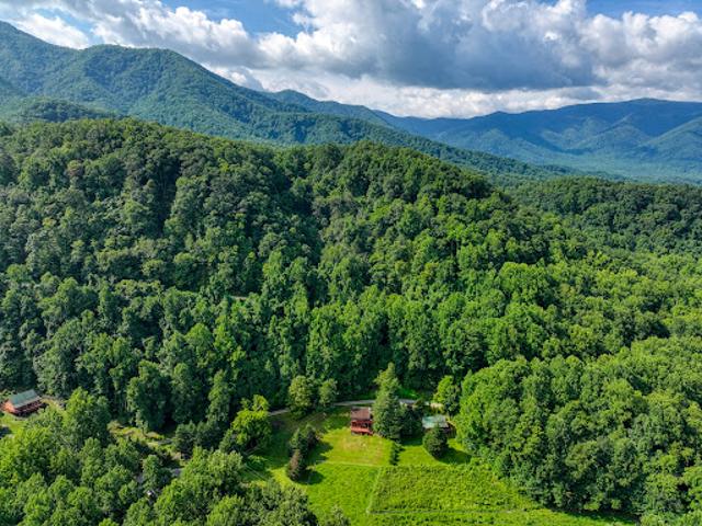 Land for sale in Cosby