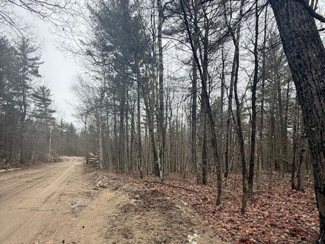 Land for sale in Essex, New York