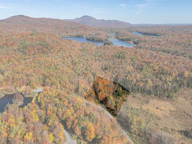 Land for sale in Austin, Estrie