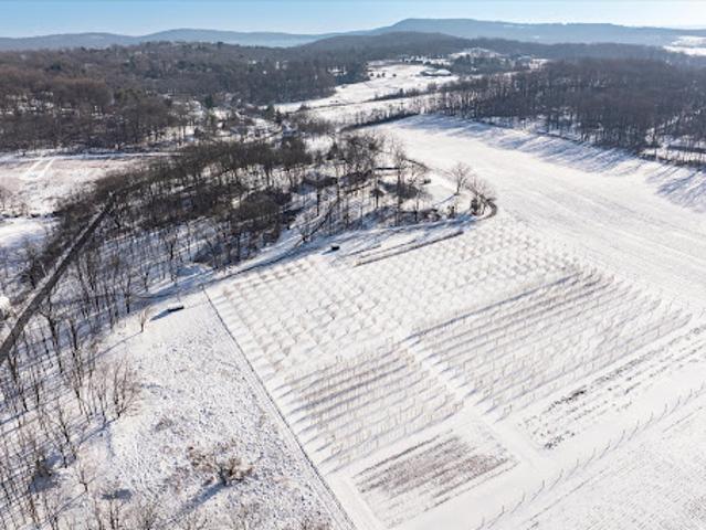 Land for sale in Annandale, New Jersey