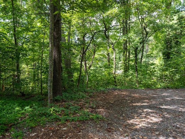 Land for sale in Asheville, North Carolina