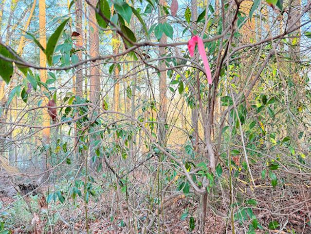 Land for sale in Hendersonville, North Carolina