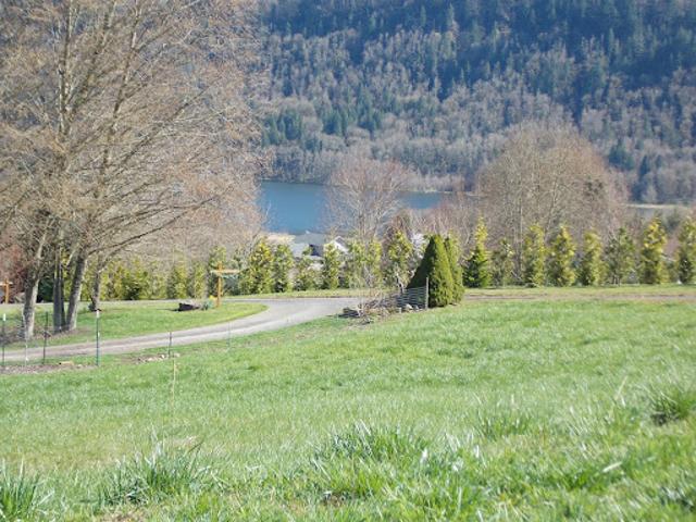 Land for sale in Mossyrock, Washington