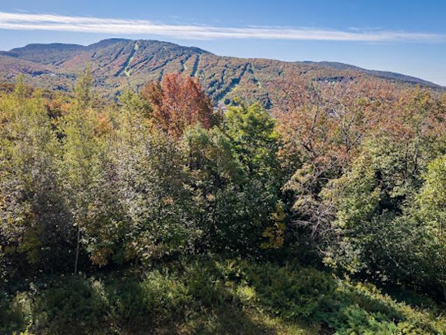 Land for sale in Sutton, Estrie