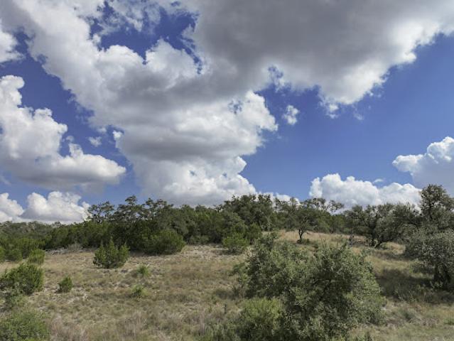 Land for sale in Leesville, Texas