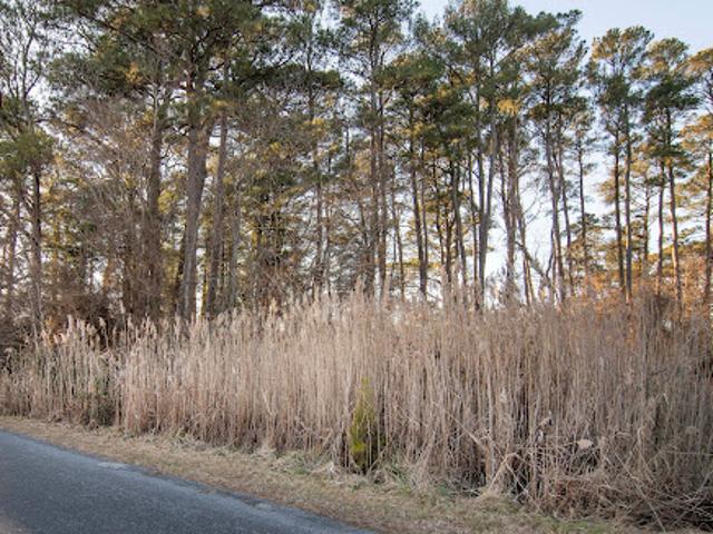 Land for sale in Virginia