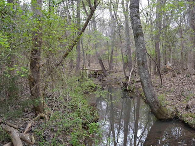 Land for sale in Irmo, South Carolina