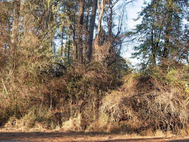 Land for sale in Virginia