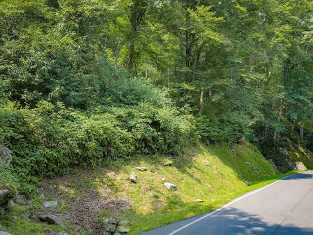 Land for sale in Linville, Avery County