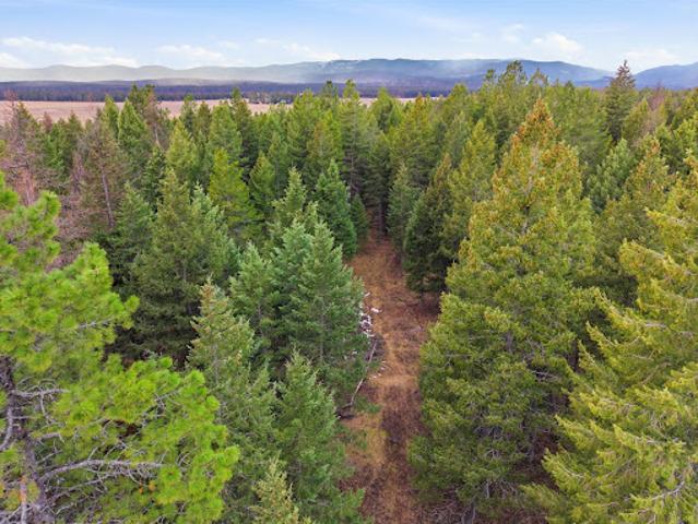 Land for sale in Whitefish, Montana