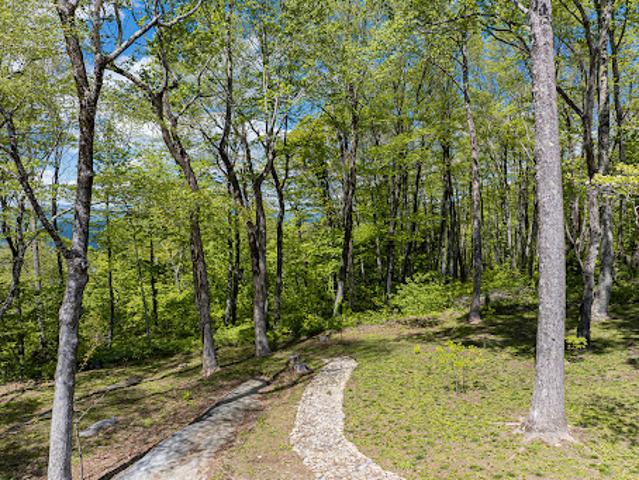 Land for sale in Fletcher, North Carolina