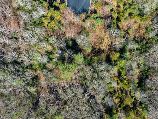 Land for sale in North Carolina