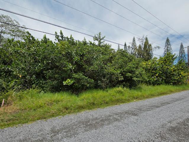 Land for sale in Keaau, Hawaii