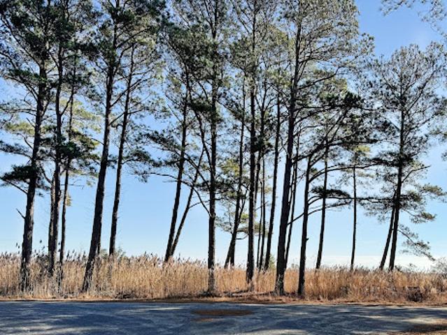 Land for sale in Virginia