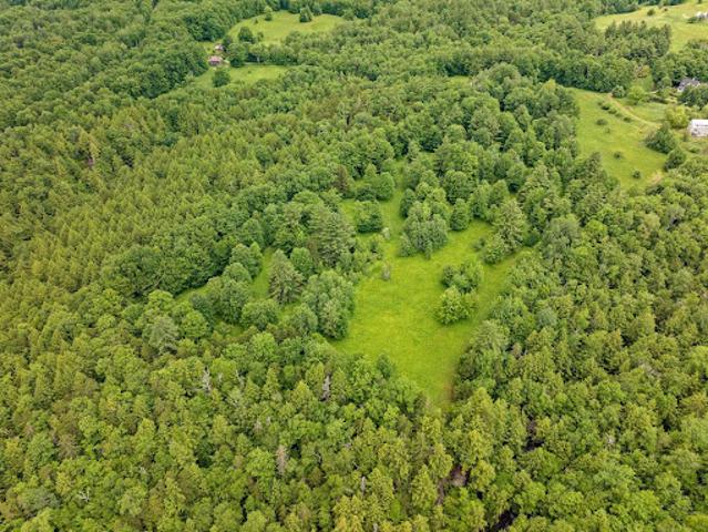 Land for sale in Bridgewater, Vermont