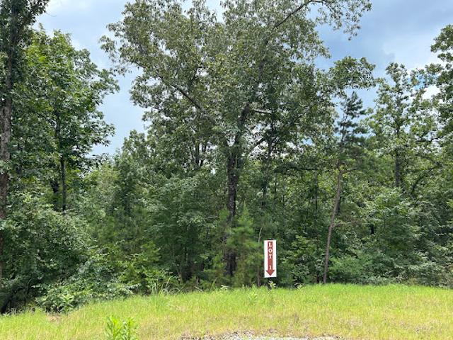 Land for sale in Georgia