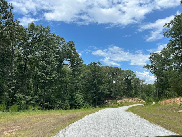 Land for sale in Georgia