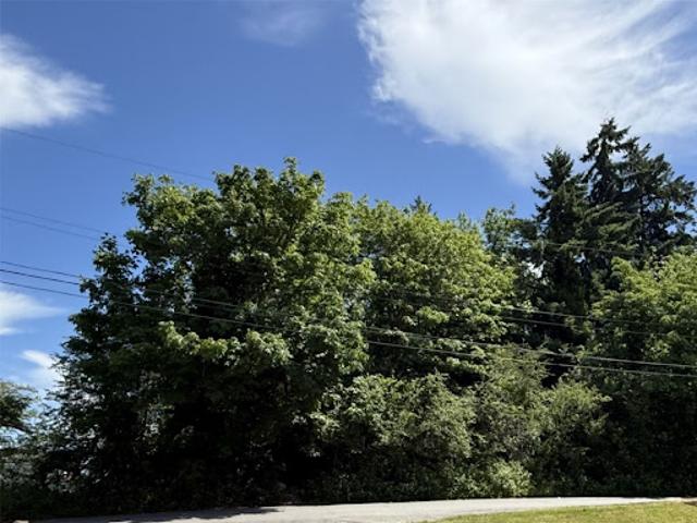 Land for sale in Seattle, Washington
