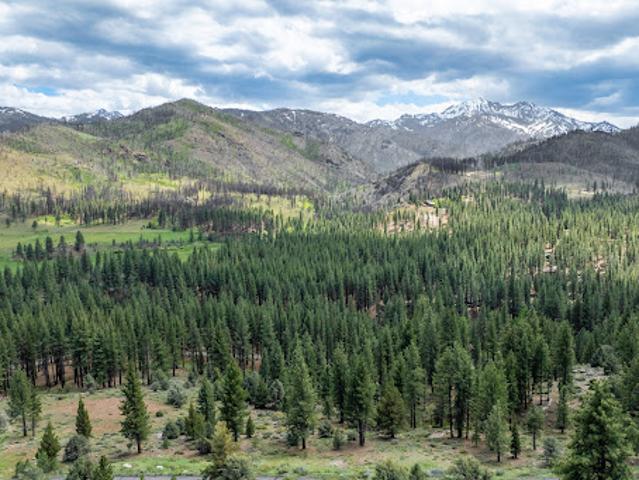 Land for sale in Markleeville Land for sale in Markleeville