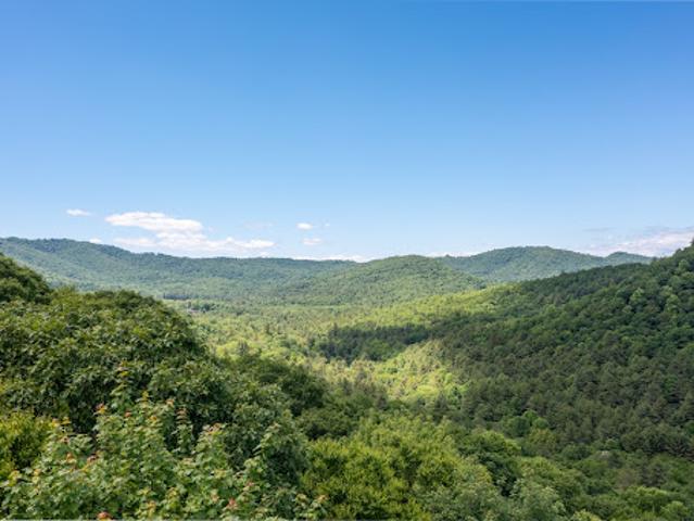 Land for sale in North Carolina