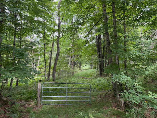 Land for sale in Vermont