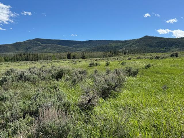 Land for sale in Colorado