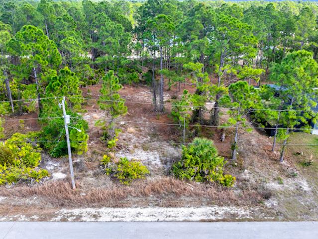 Land for sale in Lehigh Acres, Florida