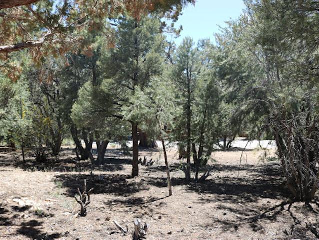 Land for sale in Big Bear Lake, California