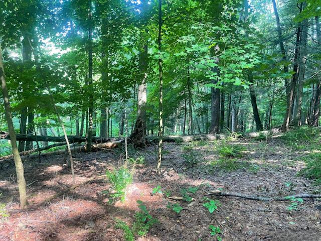 Land for sale in Cornwall, Connecticut