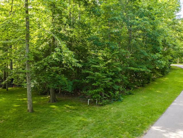 Land for sale in Tennessee