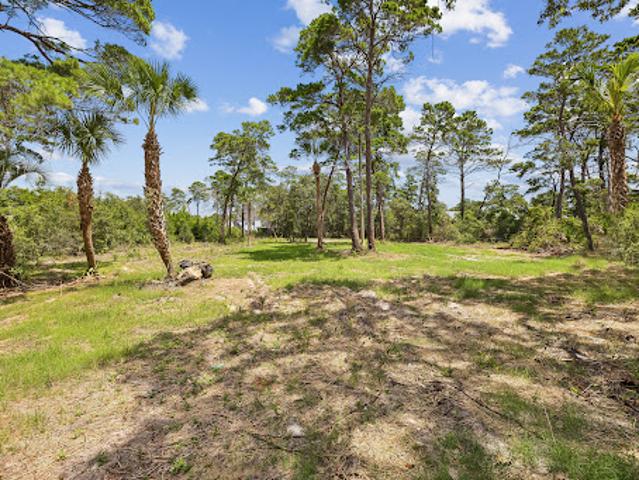 Land for sale in Walton, Florida
