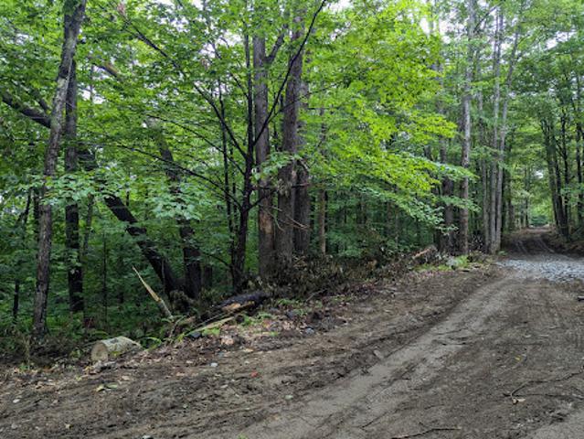 Land for sale in Newfane, Vermont