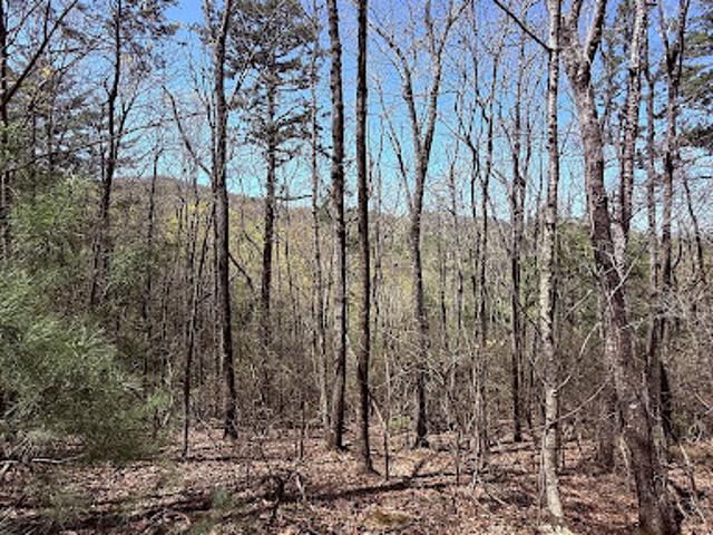 Land for sale in Gilmer, Georgia