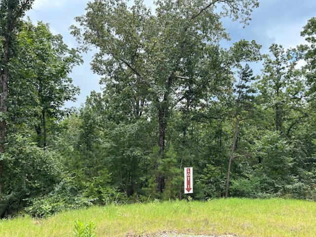 Land for sale in Georgia