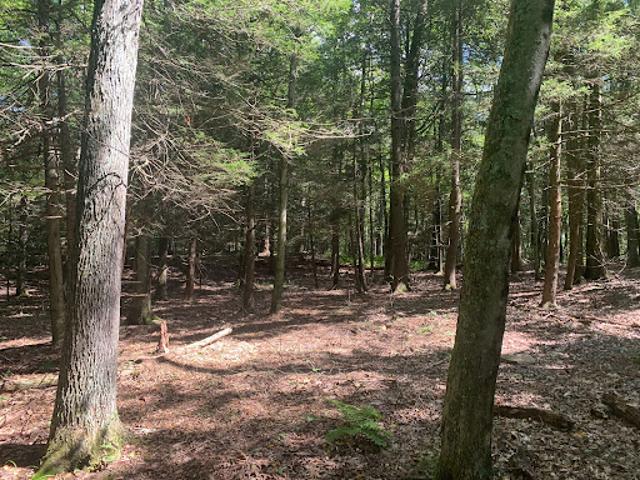 Land for sale in Roxbury, Connecticut