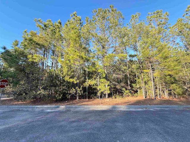 Land for sale in Georgetown, South Carolina
