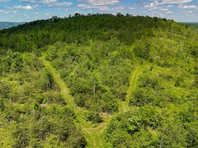 Land for sale in Washington, Maine