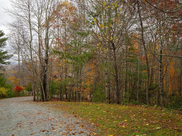 Land for sale in Watauga, North Carolina