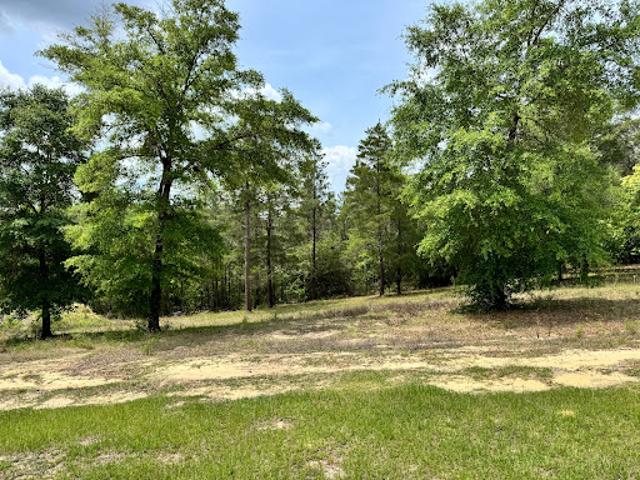 Land for sale in Walton, Florida