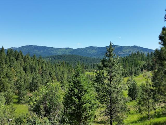 Land for sale in Chelan, Washington
